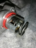 IMG_20260131_185723.jpg IMG_20260131_185723.jpg