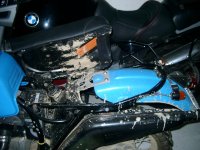 IMGP8025.JPG IMGP8025.JPG