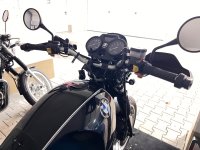 IMG_7392.jpeg IMG_7392.jpeg