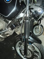 IMG_7385.jpeg IMG_7385.jpeg