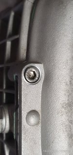 IMG_20260314_155306.jpg IMG_20260314_155306.jpg