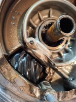 20260324_105950.jpg 20260324_105950.jpg