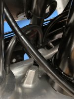 IMG_0646.jpeg IMG_0646.jpeg