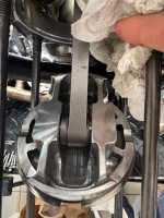 IMG_5696.jpeg IMG_5696.jpeg