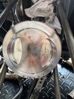 IMG_5698.jpeg IMG_5698.jpeg