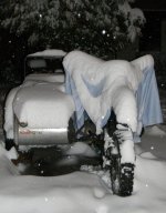 DSCN1707 schneelefant.jpg