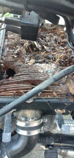 20260318_132511.jpg 20260318_132511.jpg