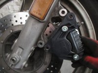 IMG_1127.JPG IMG_1127.JPG