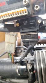 1000110785.jpg 1000110785.jpg