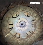 IMG_7146.JPG IMG_7146.JPG