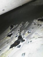 Photo_2026-05-04 20_24_49_485.JPG