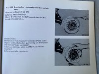 IMG_7100.jpeg