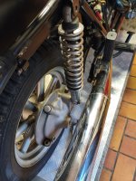 IMG_20260518_201047.jpg