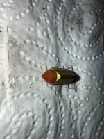 IMG_0615.jpeg