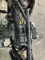 IMG_5784.jpeg