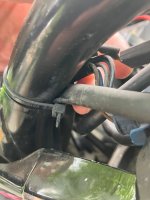 IMG_5785.jpeg
