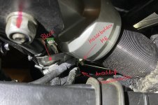 IMG_0715.jpeg