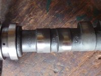 P1080283.JPG P1080283.JPG