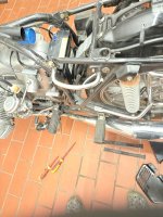 IMG_6690.jpeg