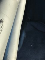 IMG_1364.jpeg