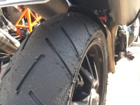 IMG_4149.jpeg IMG_4149.jpeg