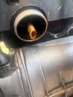 IMG_4652.jpeg