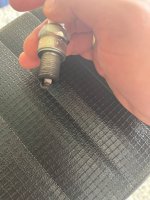 IMG_8942.jpeg