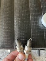 IMG_8959.jpeg IMG_8959.jpeg
