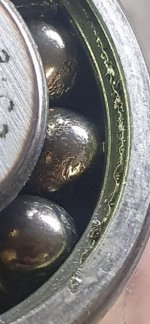 IMG_4027.jpeg