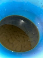 IMG_9602.jpeg