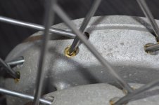 DSC_0547.jpeg
