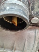 IMG_20260810_091023238_HDR.jpg