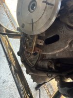 IMG_1007.jpeg