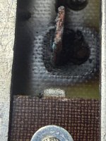 IMG_1010.jpeg
