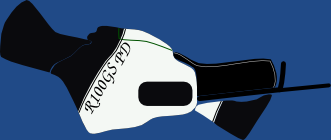 nextIdea.png