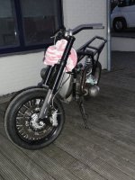 DSC01264.jpg