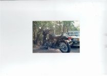 BMW_1_3_ohne Nummerns_small.jpg