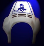 windschild  g-s tuarek blau outline.jpg
