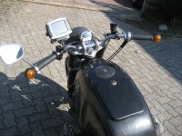 IMG_0237.jpg