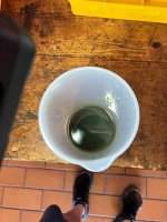 IMG_2445.JPG