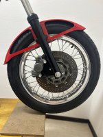 IMG_6453.jpeg