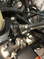 IMG_5499.jpeg IMG_5499.jpeg