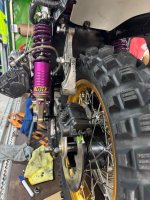 IMG_4137.jpeg