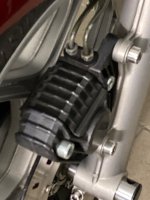 IMG_1922.jpeg