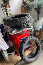 IMG_2037.jpeg