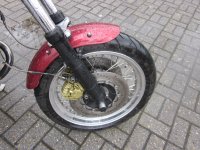 Hobbel Q 04 2011 002.jpg