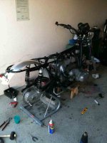 IMG_0062[1].jpg