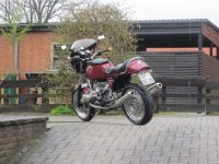 Hobbel Q 04 2011 006.jpg