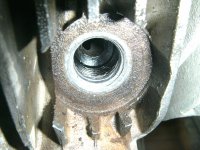 BILD0975.jpg