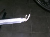 BILD0985.jpg